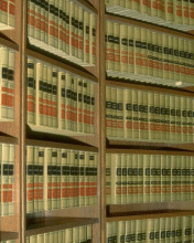 Shelf of books - graphic